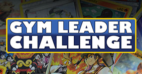 Pokemon Gym Leader Challenge